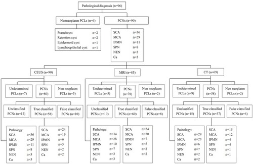 Figure 1 Diagnosis of pancreatic cystic neoplasms by pathology and different modalities.Abbreviations: PCL, pancreatic cystic lesion; PCN, pancreatic cystic neoplasm; CEUS, contrast-enhanced ultrasound; CT, computed tomography; MRI, magnetic resonance imaging; SCA, serous cystadenoma; MCA, mucinous cystadenoma; IPMN, intraductal papillary mucinous neoplasm; SPN, solid pseudopapillary neoplasm; NEN, neuroendocrine neoplasm; Ca, cystadenocarcinomas.