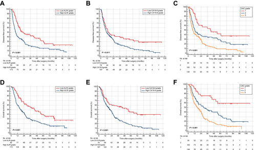 Figure 2 Kaplan-Meier curves for DFS and OS stratified by ALRI (A and D), CA19-9 (B and E), and CAC grade (C and F) in the derivation cohort.