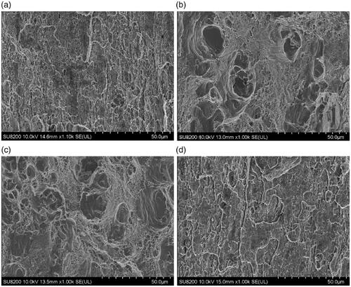 Figure 13. Micrographs of the fracture surfaces in TMAZ/HAZ of as-welded and post-weld heat treated samples observed by SEM in secondary electron mode after tensile tests: (a) AW-T3 (advancing side), (b) PW-T8 (retreating side), (c) PSPW-T8 (retreating side), and (d) AW-T8 (advancing side).