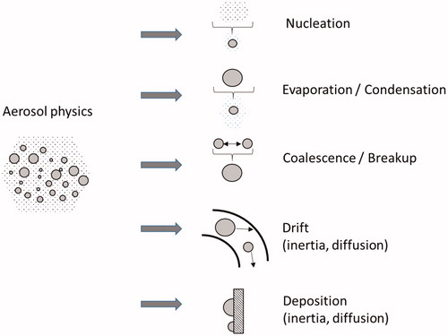 Figure 3. Schematic diagram of aerosol generation, transport, evolution, and deposition mechanisms.
