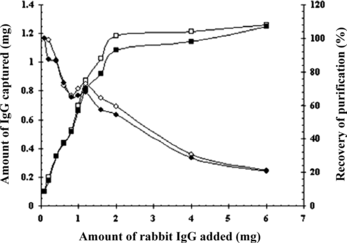 Figure 4 Amount and recovery of IgG captured to the SPA-MCMS as a function of increased amounts of IgG added. The amount of rabbit IgG and serum in the sample was increased, as the total reaction – volume was kept at 1 mL. 100 µL of SPA-MCMS were used per sample. ▪and □ indicated amount of IgG captured from rabbit IgG and serum; ♦ and □ indicated recovery from rabbit IgG and serum.
