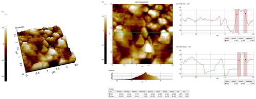 Figure 4. Atomic force microscopy analysis of gold nanoparticles synthesized from R. rubescens (RRAuNP).