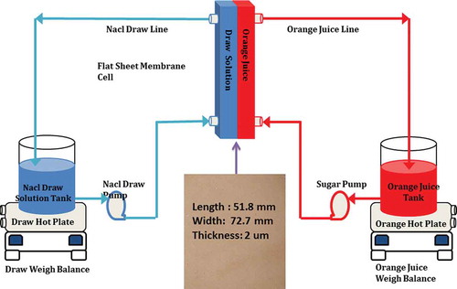 Figure 3. Forward osmosis setup for orange juice concentration using graphene oxide-based coated geopolymeric membrane