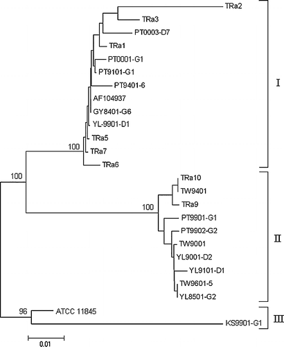 Figure 4. The neighbour-joining phylogenetic tree based on the nucleotide sequence of PCR products amplified from ompA of Riemerella anatipestifer strains or related isolates. Numbers at branching points represent the percentage of 10,000 bootstrap values calculated by the MEGA program with the Kimura 2-parameter distance optional for nucleotide sequences. The bootstrap values within brackets were calculated by the quartet puzzling method with the HKY substitution model for nucleotide sequences. Scale bar indicates the number of nucleotide substitutions per site.