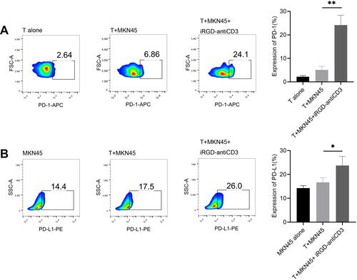 Figure 1 iRGD-antiCD3 upregulated PD-1 on CD3+ cord blood-derived T cells and PD-L1 on tumor cells. Flow cytometry results displaying the relative expression level of PD-1 on gated CD3 T cells (A) and PD-L1 on gastric cancer cells (B). Effector T cells and target MKN45 tumor cells were incubated at an E:T ratio of 5:1 for 24 hr in the presence or absence of iRGD-anti-CD3. The experiments were repeated three times with cells from 3 healthy donors, and a representative result is shown. **P < 0.01, *P < 0.05.