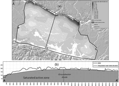 Fig. 9 (a) Interpolated saturated thickness in the Kenogami unconfined fractured rock aquifer. (b) Interpolated water table elevation profile and DEM along cross-section A–A′. Note that the water table elevations in both pictures are expressed in metres above the basement of the active zone of the aquifer.