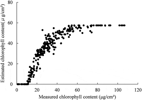 Figure 5. Relationship between measured and estimated chlorophyll contents
