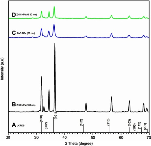 Figure 2 XRD pattern of ZnO NPs (A) Standerd XRD pattern for ZnO (B) ZnO NPs (100 nm) (C) ZnO NPs (30 nm) (D) ZnO NPs (G 30 nm).Abbreviations: JCPDSG, Joint Committee on Powder Diffraction Standards; ZnO NPs, Zinc oxide nanoparticles; G, Green synthesized.