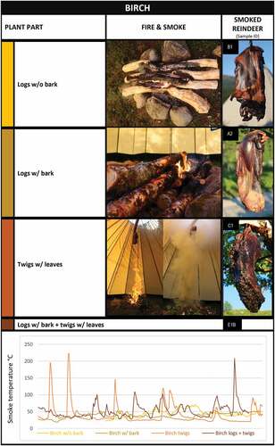 Figure 5. Smoke temperature graphs and photographs of the smoking fires and related reindeer meat cuts smoked with birch logs without bark; birch logs with bark; birch twigs with leaves; and birch logs with bark combined with twigs with leaves in the lávvu-laboratory.