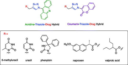 Figure 2. Designed acridine-triazole-drug and coumarin-triazole-drug hybrid compounds.