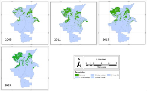 Figure 7. The distribution of mangroves cover in the northern of Medan City for the fourteen-time period (2005–2019).