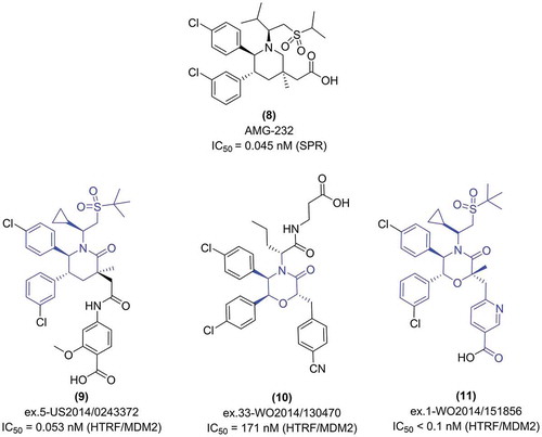 Figure 3. Structure and in vitro activity of exemplary MDM2 inhibitors based on 6 membered ring: piperidinone and morpholinone scaffolds. The IC50 value for AMG-232 was is from [Citation94].