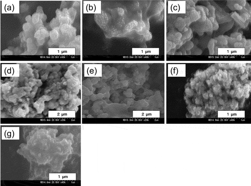 Figure 1. SEM images of Ag/Ag2O (sintering temperature 140°C (a), 170°C (b), 200°C (c)), Ag (d), Ag2O (e), Ag/Ag2O/ZnO (f) and ZnO (g).