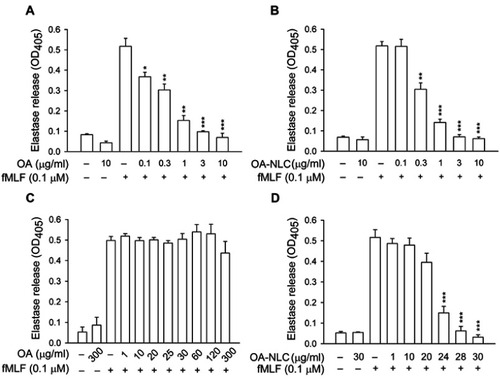 Figure 4 Effects of OA and OA-NLC on elastase release in fMLF-activated neutrophils.Notes: Human neutrophils (6×105 cells/mL) were pre-incubated with OA or OA-NLC and then activated with cytochalasin B (0.5 μg/mL) and fMLF (0.1 μM) in the absence or presence of 0.1% BSA. (A, B) In the absence of BSA, elastase release was reduced by both OA and OA-NLC. (C, D) In the presence of BSA, only OA-NLC inhibited elastase release. Elastase release was detected spectrophotometrically using elastase substrate. Data are expressed as the mean ± standard error of the mean, n=6, **P<0.01, ***P<0.001, as compared to the control assay.Abbreviations: OA, oleic acid; OA-NLC, oleic acid within nanostructured lipid carriers; BSA, bovine serum albumin.