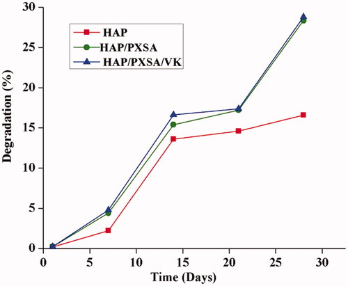 Figure 4. Biodegradation studies of HAP/PXSA and HAP/PXSA/VK composites.