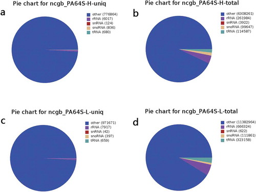 Figure 1. Summary of unique and total of small RNAs in non-coding RNAs in GenBank between PA64S-H and PA64S-L. a,b. Unique and total sRNAs in PA64S-H. c.d. Unique and total sRNAs in PA64S-L.