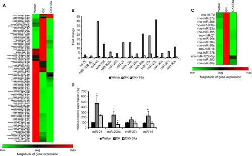 Figure 4 Microarray profiling of miRNAs expression in diabetic kidney. (A) Heat map diagram and hierarchical clustering of differential expression of miRNAs between Wistar, GK and GK+Sita group. Each row represents an miRNA, and each column the study group. The color scale shown at the bottom illustrates the relative expression level of miRNA across all samples. (B) Graphical representation of the most incremented miRNAs in GK group vs. Wistar and GK+Sita group. (C) Clustering representation of the enhanced miRNA in GK group. (D) Validation of the differential expression of miR-21, miR-200a, miR-27b and miR-16. *Statistical p value <0.05 and **p<0.01 using Mann–Whitney test (Wistar vs GK group).