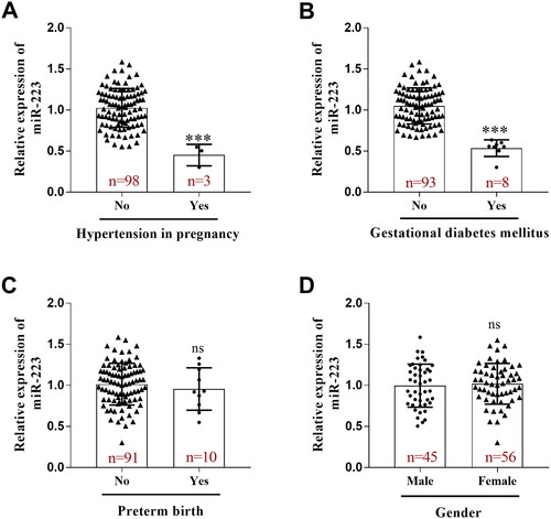 Figure 5. Expression of miR-223 in patients with varying pregnancy complications. (A) Decreased miR-223 expression in the embryo culture in patients with gestational hypertension. (B) Decreased miR-223 expression in the embryo culture in patients with gestational diabetes. (C) No difference in miR-223 expression was observed in preterm delivery compared to those with full-term delivery. (D) No significant difference was observed in the expression level of miR-223 in the embryo culture medium of the patients who delivered a female foetus compared to the patient group that delivered a male foetus. ***p < 0.001. ns, not significant.