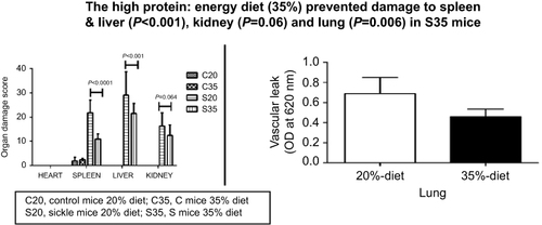 Figure 1 High protein diet reduced organ damage in sickle cell mice.
