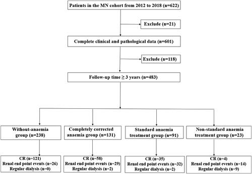 Figure 1. Screening process for the MN cohort. MN: membranous nephropathy; CR: complete remission.