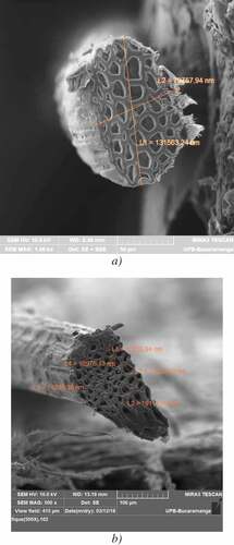 Figure 1. Cross section of raw fique fibers. a) SEM imagen: 1000 x magnification, 10 kV HV and 129.85 nm sptosize. b) SEM imagen: 500 x magnification, 10 kV HV and 127.46 nm sptosize