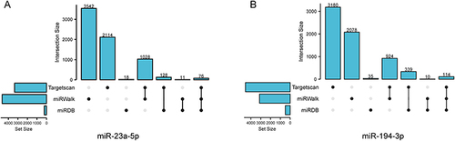 Figure 4 UpSet plot of target genes prediction.