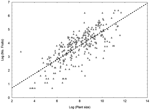 Fig. 3. Relationships between plant size (plant volume) and reproductive capacity (number of fruits per plant) in Helianthemum caput-felis. The following equation was used: No. of fruits = – 0.320 + 0.517 × plant volume; r2 = 0.57; r = 0.76; p < 0.001.