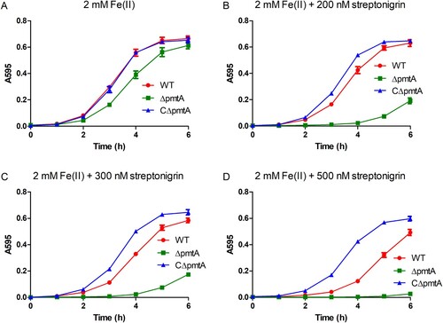 Figure 5. ΔpmtA exhibits increased sensitivity to streptonigrin. The S. suis strains were grown in the presence of 2 mM Fe(II) and increasing concentrations of streptonigrin. (A) No streptonigrin, (B) 200 nM streptonigrin, (C) 300 nM streptonigrin, and (D) 500 nM streptonigrin. Graphs data are mean values ± SD from three wells.