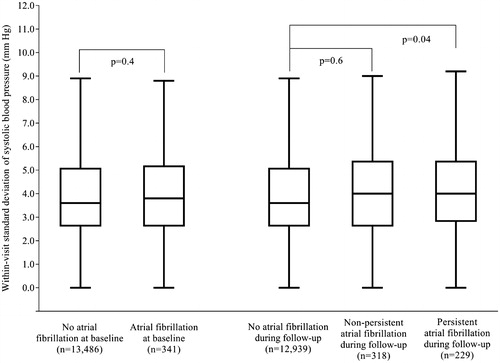 Figure 2. Standard deviation of within-visit systolic blood pressure in patients with or without atrial fibrillation at baseline, and in patients who developed or did not develop atrial fibrillation during follow-up. Data are boxplots of median (solid horizontal line), interquartile range (box outline), minimum, and maximum (whiskers). Extreme values are not shown. No atrial fibrillation at baseline: mean SD 4.0 mm Hg (SD 2.1); Atrial fibrillation at baseline: mean SD 4.1 mm Hg (SD 2.3); No atrial fibrillation during follow-up: mean SD 4.0 mm Hg (SD 2.1); Non-persistent atrial fibrillation during follow-up: mean SD 4.1 mm Hg (SD 2.1); Persistent atrial fibrillation during follow-up: mean SD 4.3 mm Hg (SD 2.1).