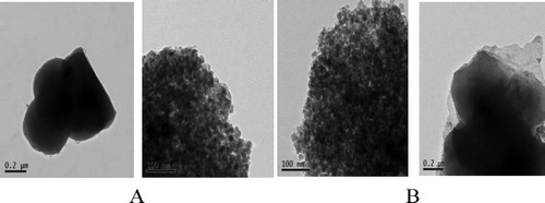 Figure 1. TEM images of magnetic nanoparticles. (A) Fe3O4@SiO2, (B) Fe3O4@SiO2@propyl@DBU.