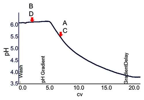 Figure 2. Linear retention of mAbs A-D on Hexyl Toyopearl in a decreasing pH gradient.
