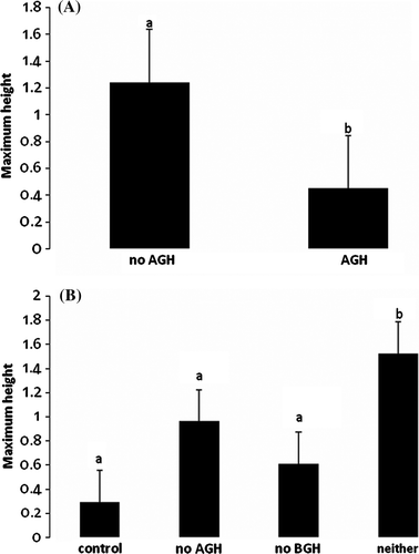 Figure 3.  Mean and standard error of the maximum height in meters of subplots by (A) having AGH vs. not having AGH, and (B) AGH×BGH interaction. Bars having different letters were significantly different.