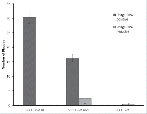 Figure 3. Average plaque number detected for SCCIT positive and negative VL and NVL samples. Average number of plaques (±SD ) formed per 2 ml blood sample for SCCIT positive animals that were classified as having visible lesions (VL; n = 13) or non-visible lesions (NVL; n = 28) at post mortem or SCCIT negative animals (n = 45). Samples are further divided into those that gave a positive IS6110-RPA result (dark gray) and those that either formed no plaques or gave a negative IS6110 RPA result (Light Gray). One-way ANOVA and Post-hoc Dunnetts-test was used to determine differences between these data sets.