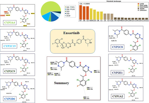 Figure 2 Suggested metabolic labile sites for ensartinib (ESB) by CYPP450 module of StarDrop software.