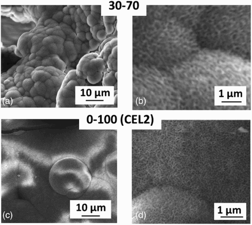 5 FESEM images showing hydroxyapatite (HA) on trabeculae surface of a, b 30-70 and c, d CEL2 scaffolds after 4 weeks in SBF