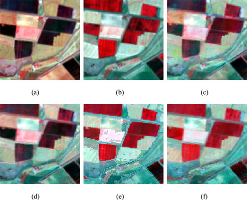 Figure 5. The zoomed-in images: actual images on the (a) base date and (b) predicted date, and the fusion images from (c) STARFM, (d) ESTARFM, (e) FSDAF, and (f) SE-STRFM.