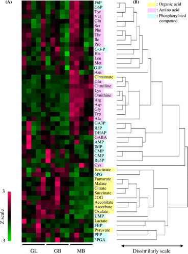 Fig. 4. Metabolite profiles in the fruiting bodies of Gf433 and Mori52.