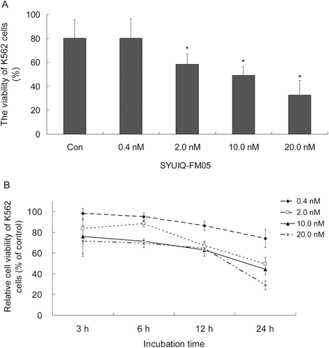 Figure 2.  Cytotoxicity profile of SYUIQ-FM05-treated cells. (A) Exponentially growing K562 cells were treated with various concentrations of SYUIQ-FM05 and cell viability was assessed after 24 h. (B) Dose- and time-dependent cytotoxicity profile of K562 cells following SYUIQ-FM05 exposure. Cell viability was evaluated at four time points, and the cell viability ratio was normalized to vehicle controls. Experiments were performed in 96-well plates and assessed using the MTT assay. The data shown are representative of the combined means ± SE from three independent experiments. *p < 0.05 versus vehicle control.