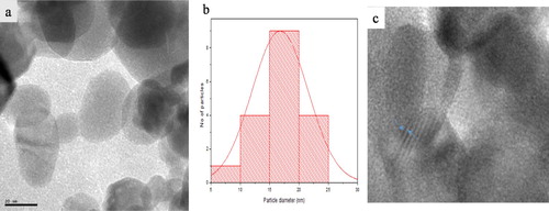 Figure 3. (a) TEM micrograph, (b) Particle size distribution histogram and (c) High-resolution transmission electron microscopy (HRTEM) of nb-ZnO.