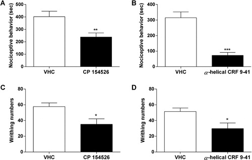 Figure 4. Effects of CP 154526 or α-helical CRF 9-41 pretreated on nociceptive behaviors. Mice were pretreated with vehicle (VHC), CP 154526 (A, C; 10 mg/kg, i.p.) or α-helical CRF 9-41 (B, D; 10 µg, i.c.v.) for 30 min and then 0.7 µg of substance P (A,B; i.t.) or 0.1% acetic acid (C, D; i.p.) was administered. Nociceptive behaviors induced by substance P or acetic acid administration were observed for 30 min. The vertical bars indicate the standard error of mean. The number of animals used in each group was eight (*p < 0.05, **p < 0.01, and ***p < 0.001, compared with VHC group).