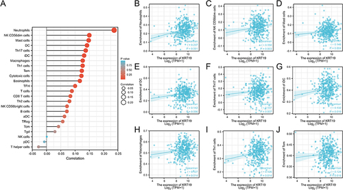Figure 8 Association analysis of KRT19 gene expression with immune infiltration. (A) Correlation between KRT19 expression and 24 tumor-infiltrating lymphocytes. (B–G) Correlations of KRT19 level with immune infiltration level of (B) Neutrophils, (C) NK CD56dim cells, (D) Mast cells, (E) DC cells, (F) Th17 cells, (G) iDC cells, (H) Macrophages, (I) Th1 cells, (J) Tem cells.
