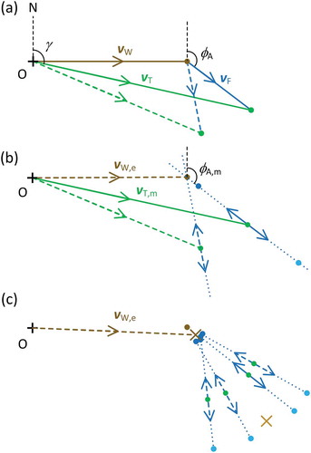 Figure 1. Vector triangles illustrating cluster method for resolving the heading direction ambiguity and estimating airspeed and wind. In this example, the wind speed is twice the insect’s airspeed. (a) Vector triangles for two insects with different headings. (b) Resolution of ambiguity from available measurements for two insects with no random variation. (c) Resolution for multiple insects with random variation; for clarity, only the endpoints (green dots) of the track vectors are shown. Diagonal crosses indicate the centroids of the two sets of blue points. Key: N, north; O, origin (where speeds are zero); A, alignment of insect; F, flight of insect through the air; T, track of insect; W, wind; m, a measured value, e, an estimated value