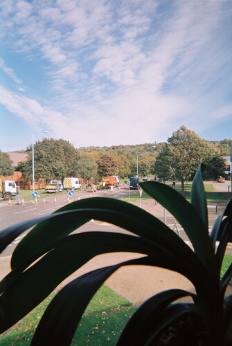 Figure 3: Office window view through the formal park vegetation in the foreground to the wooded valley beyond. Photographer: Ben, company director.