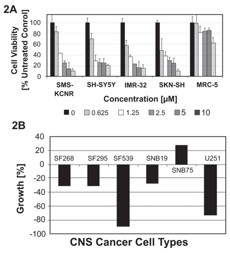 Figure 2 Comparative analysis of the cytotoxic effect of NB7M in a human NB cell lines (SMS-KCNR, SH-SY5Y, IMR-32, SK-N-SH). PanelA: NB cells were treated with various concentrations (0.625 μM to 10 μM) of NB7M for 48hrs. Viability was measured using the MTS assay (see Materials and methods). Experiments were performed in triplicates; data are expressed as the mean of the triplicate determinations (X ± SD) of a representative experiment in % cell viability of untreated cells (100%). Panel B: CNS cancer cells were treated with NB7M (10 μM) for 48 hrs and the cell growth measured according to the NCI/DTP assay (see http://dtp.nci.nih.gov/docs/cancer/cancer_data.html for details).