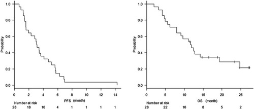 Figure 1 (A) Kaplan–Meier plots of progression-free survival. (B) Kaplan–Meier plots of overall survival.