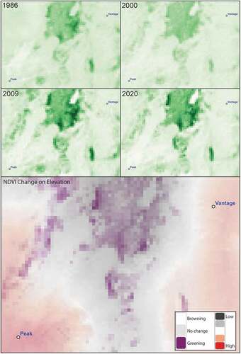 Figure 3. Summary of vegetation mass change, as reflected in NDVI images calculated from Landsat images for 1986, 2000, 2009, and 2020. The top four panels show NDVI values in the valley separating the vantage point (top right of each panel) from the peak of the Mount of the Holy Cross (bottom left of each panel). The bottom panel shows the difference between the 2020 and 1986 images, with higher values shown as darker shades of purple; the latter is overlaid with partial transparency on the digital elevation model, which is shown as a gradient from gray to red.