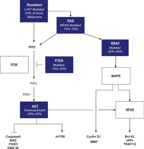 Figure 2 Common activating mutations in melanoma.