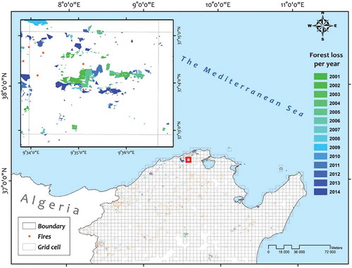 Figure 3. The grid cells over deforested areas in Tunisia for the period 2001–2014, and the close-up view of the locations of forest losses and fires in the selected grid cells (red box).