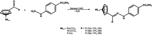 Scheme 1. Synthesis of organometallic-hydrazone derivatives 1–3.