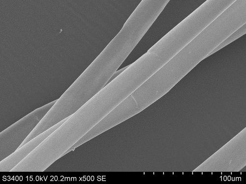 Figure 2. Microphotograph taken with a Scanning Electron Microscope – longitudinal view of kapok fibers at 500 times magnification. Source: own work of Institute of Natural Fibres and Medicinal Plants – National Research Institute. Photo SEM: A. Kicińska-Jakubowska.